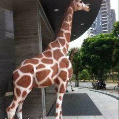 玻璃鋼長(zhǎng)頸鹿雕塑，玻璃鋼仿真動(dòng)物雕塑