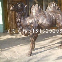 公園駱駝銅雕，動物銅雕