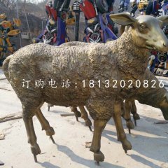 玻璃鋼綿羊雕塑，仿銅動物雕塑