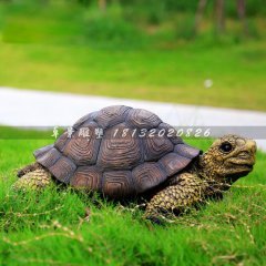 玻璃鋼烏龜?shù)袼埽抡鎰?dòng)物雕塑
