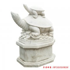 石龜?shù)袼? width=