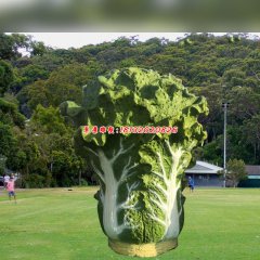 玻璃鋼白菜雕塑