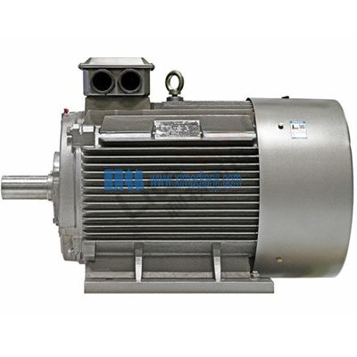 YE5系列超高效三相異步電動(dòng)機(jī)