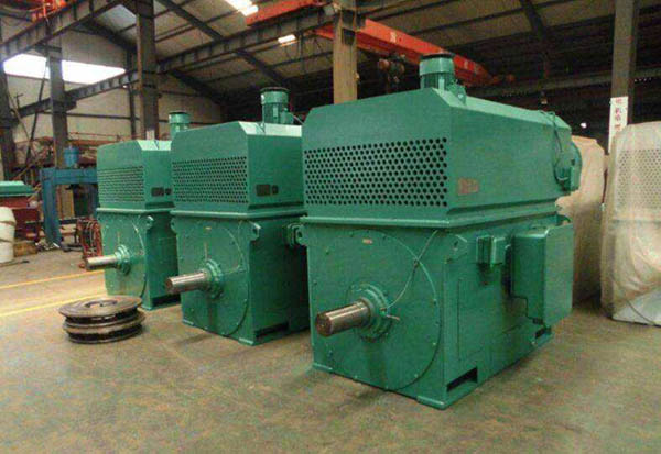 探索Y系列高壓三相異步電機