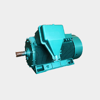 Y2 series compact high-voltage asynchronous motors