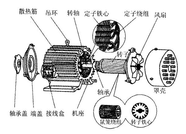 三相異步電動機的六種分類方法及具體分類。