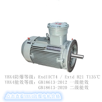 YBX4防爆電機(jī)—新一代高效節(jié)能電機(jī)