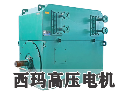 高壓電機的溫升管理與散熱解決方案